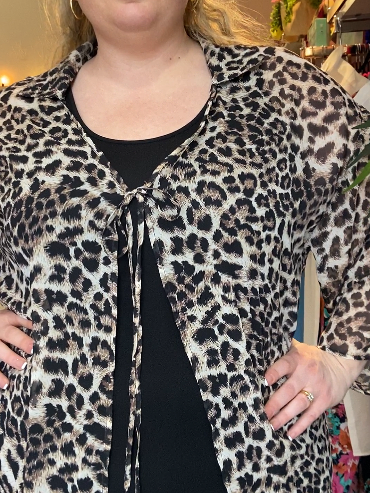 Edith Plus Size Leopard Print Chiffon Kimono