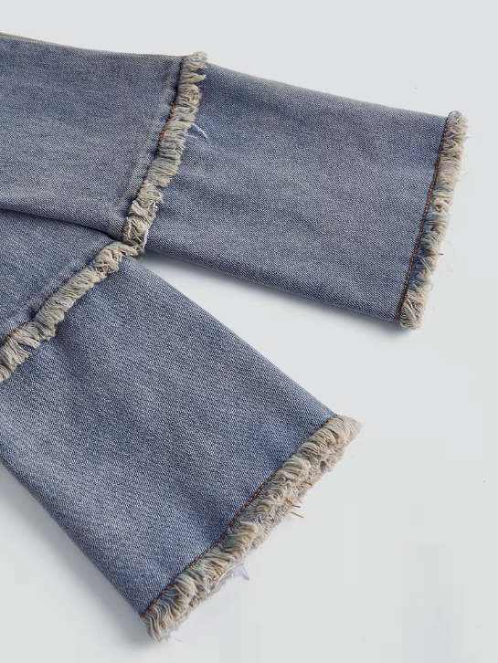 Sloane Vintage Frayed Plus Size Jean Jacket