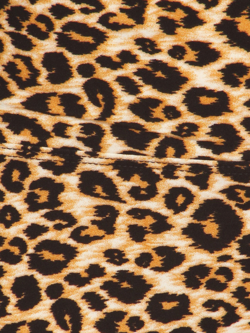 Zeema Microfiber Plus Size Legging in Leopard