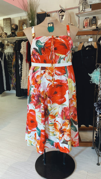 Raina Plus Size Floral Print Dress