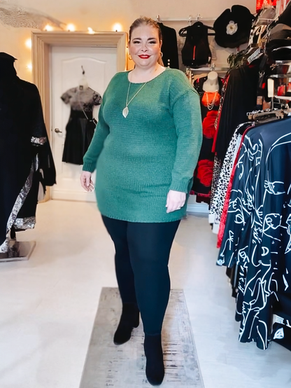 Colleen Plus Size Knit Tunic Sweater