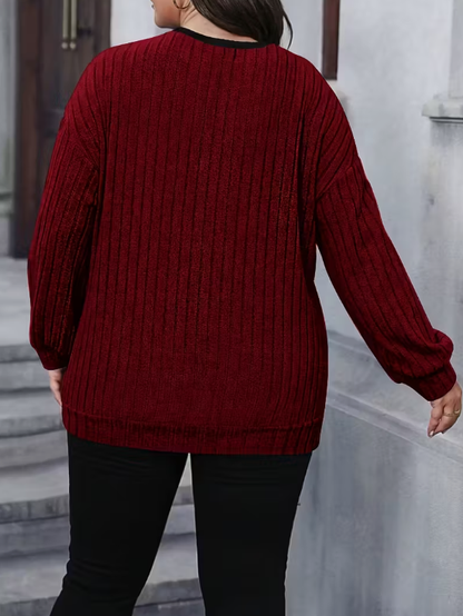 Brielle Color Block Plus Size Sweater