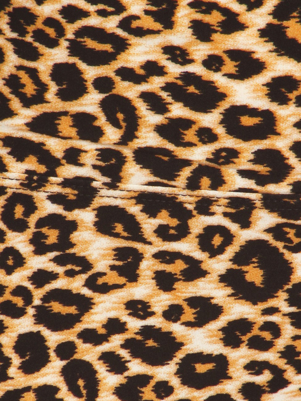 Zeema Microfiber Plus Size Legging in Leopard, plus size leggings, alternate view
